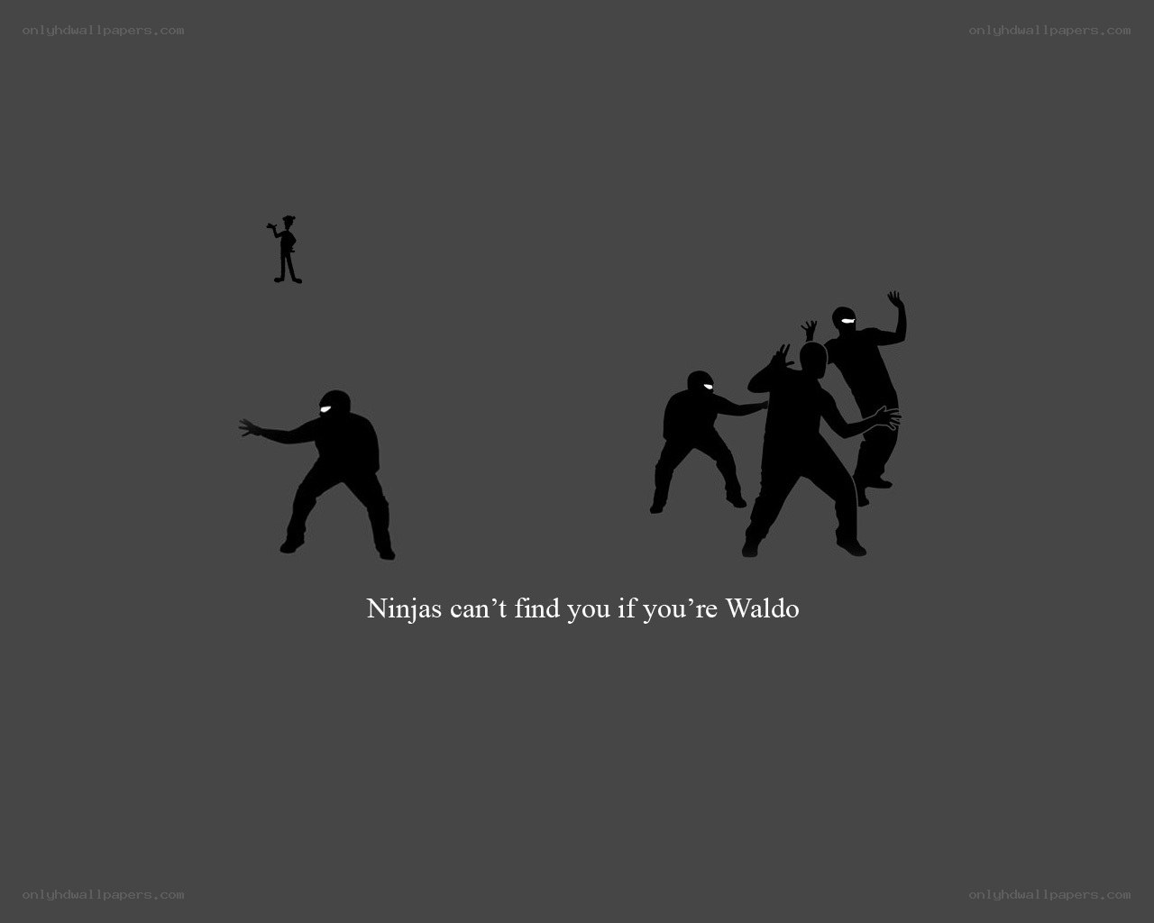 Ninjas can't find Waldo