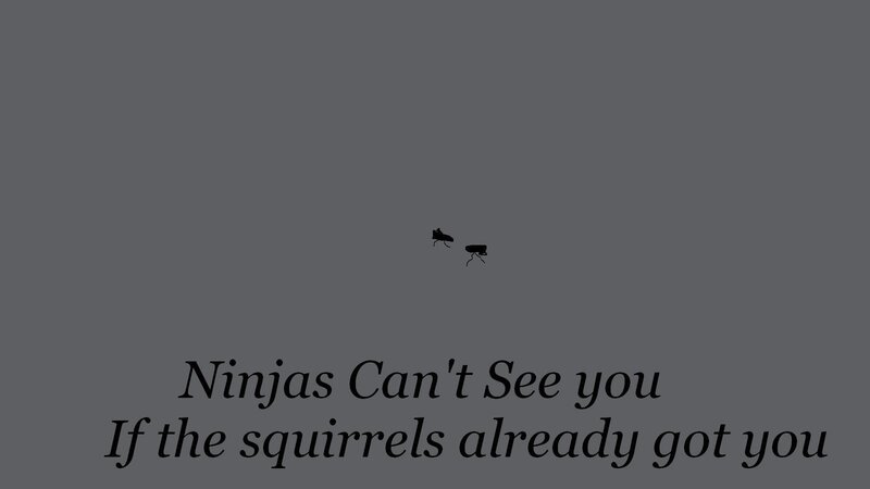 Ninjas Can't See You