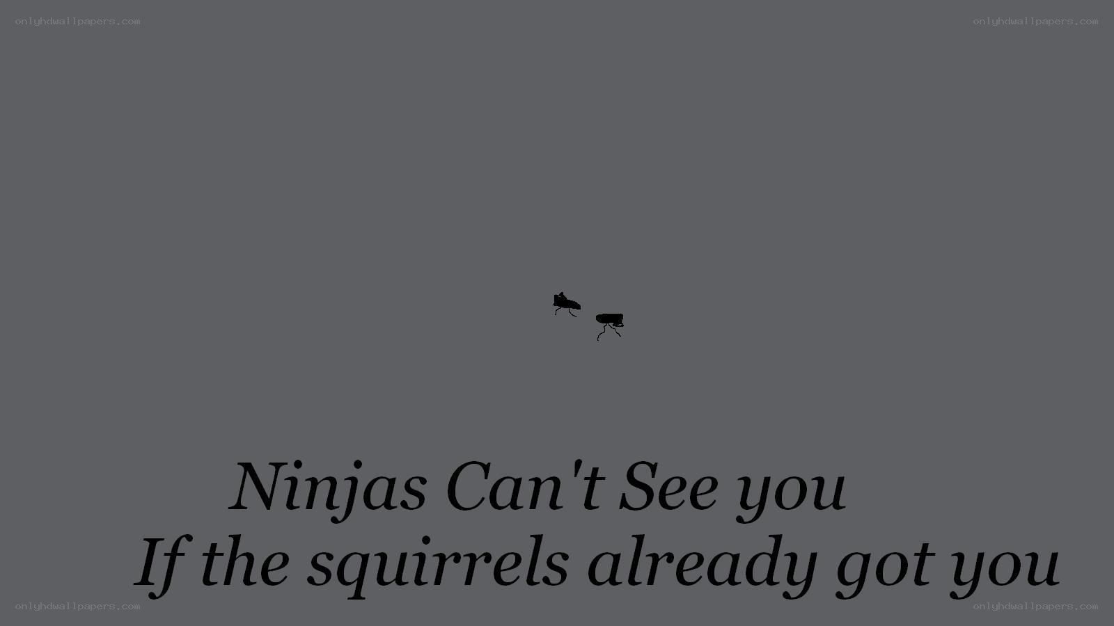 Ninjas Can't See You
