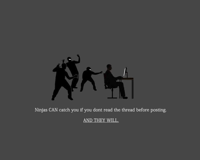 Ninjas Catch You