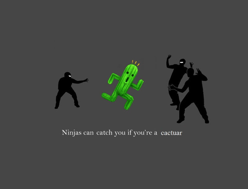 Ninjas chasing a cactus