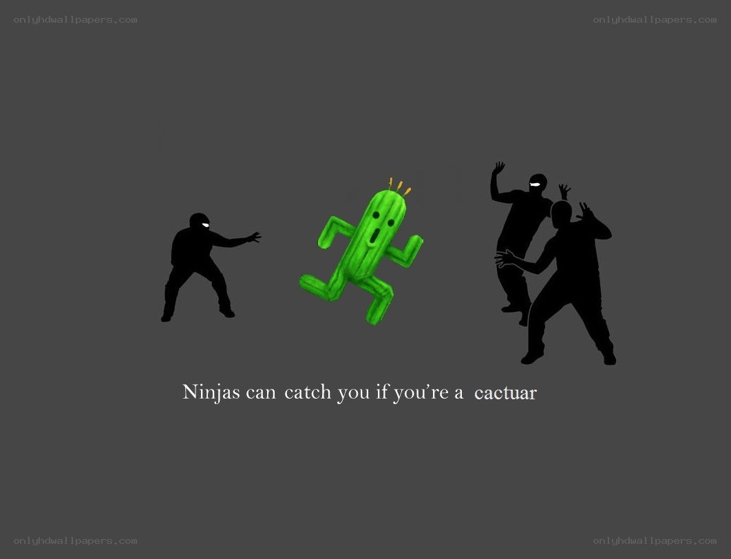 Ninjas chasing a cactus
