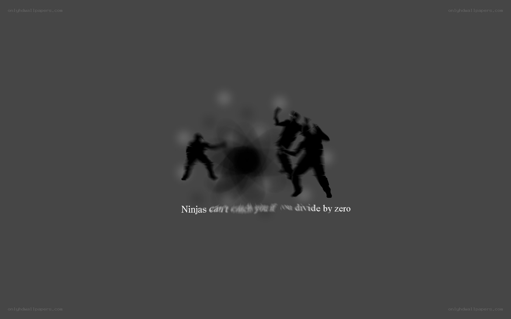 Ninjas dividing by zero