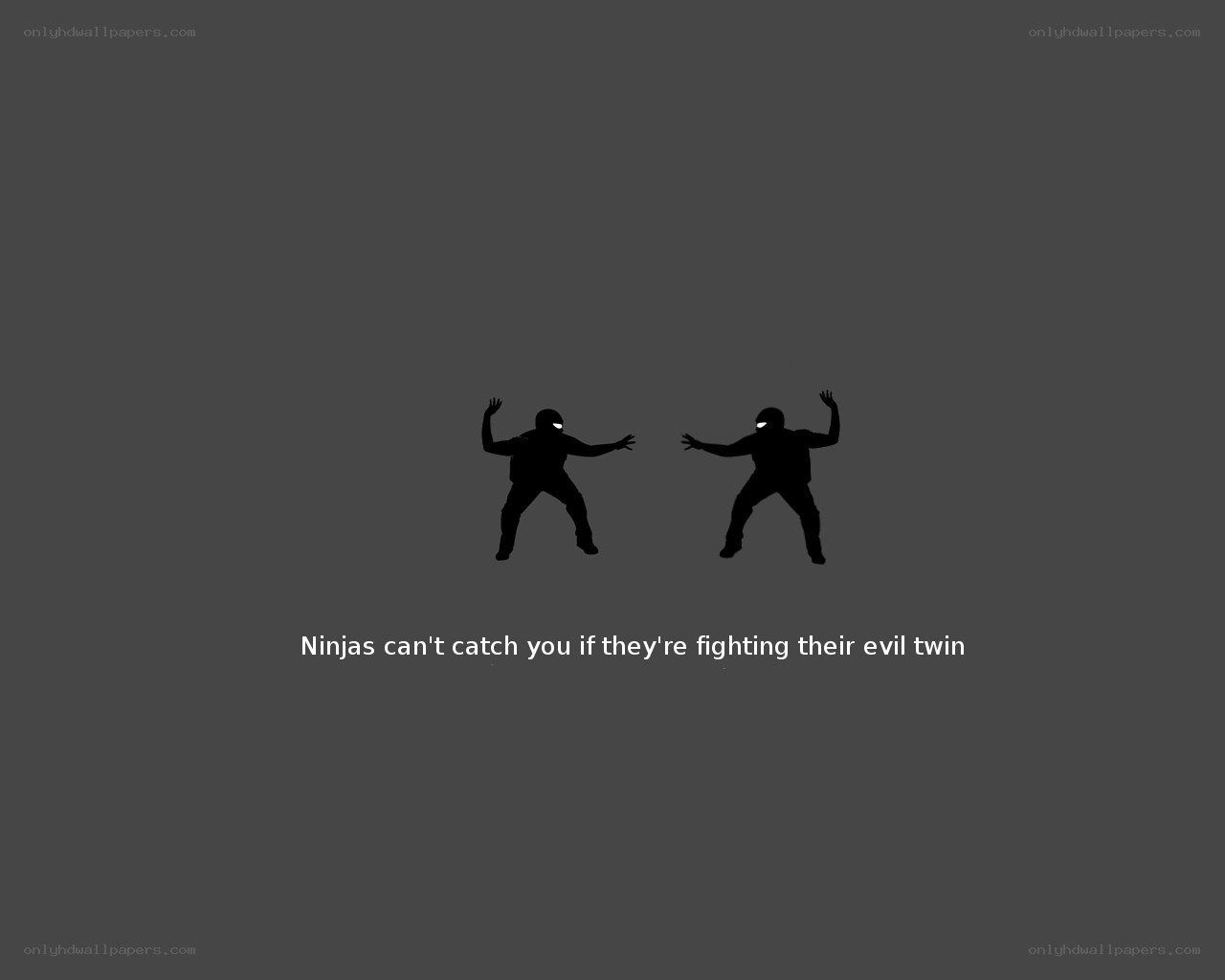 Ninjas fighting twin