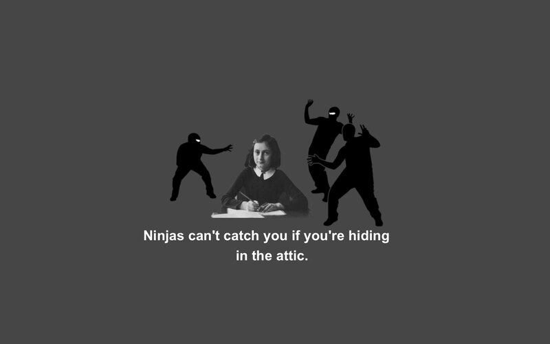 Ninjas hiding in attic