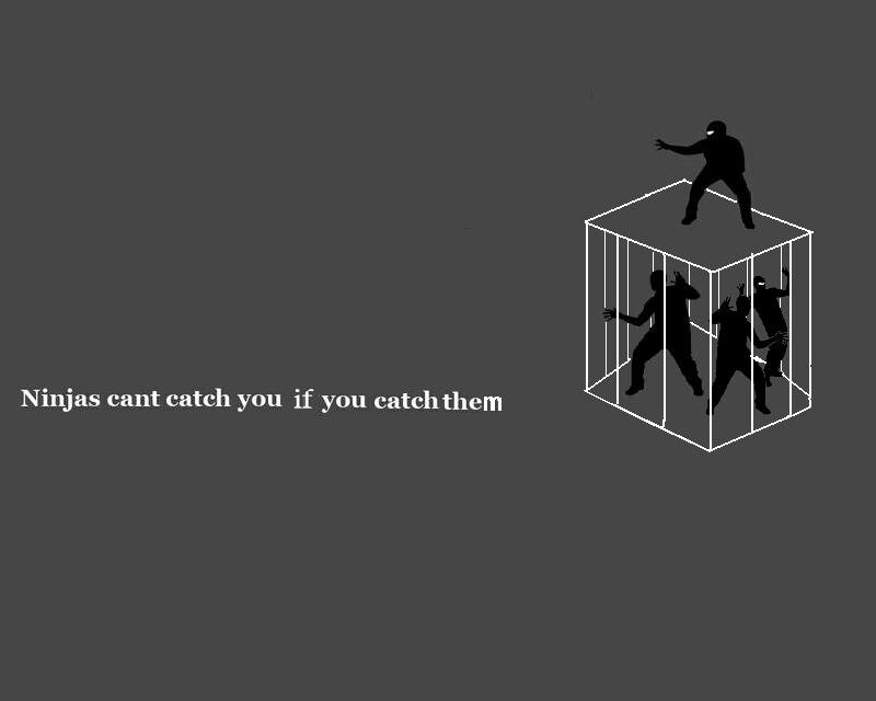 Ninjas in a cage