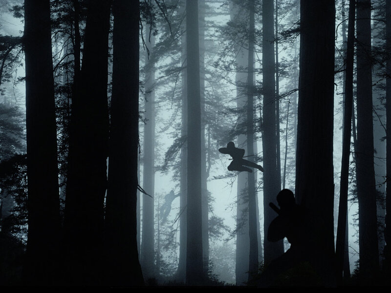 Ninjas in a misty forest