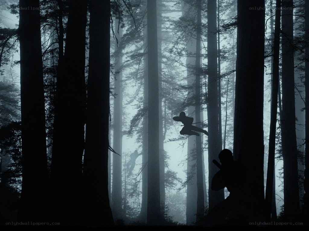 Ninjas in a misty forest