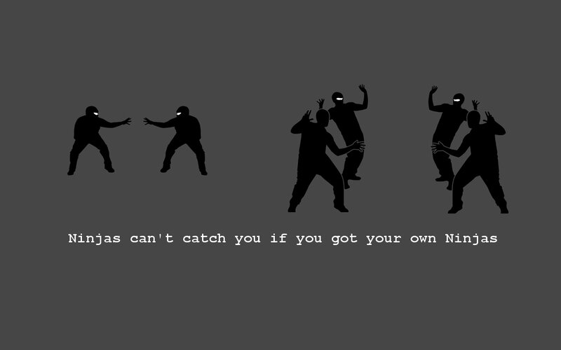 Ninjas in action