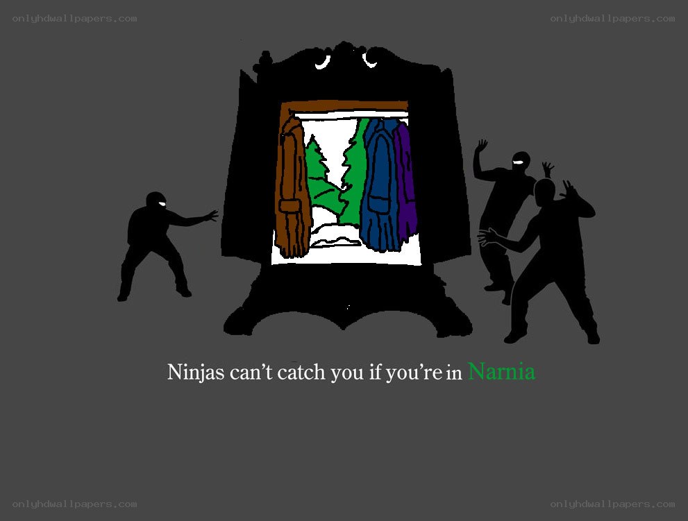 ninjas in narnia