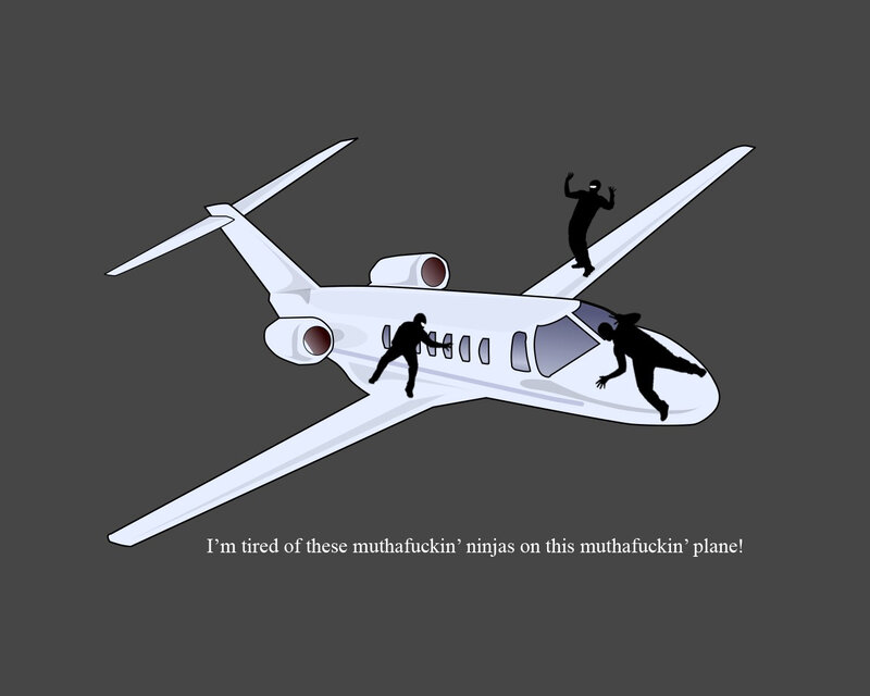 Ninjas on a plane