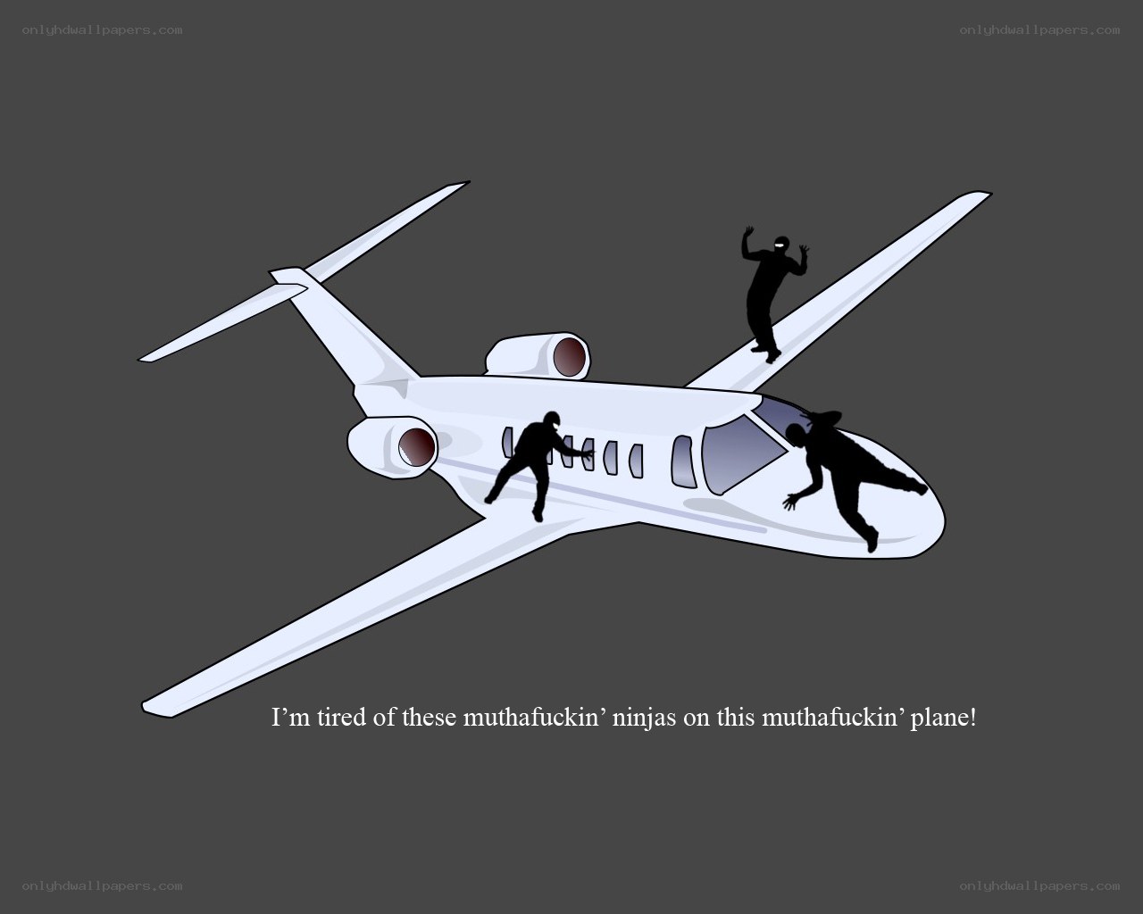 Ninjas on a plane