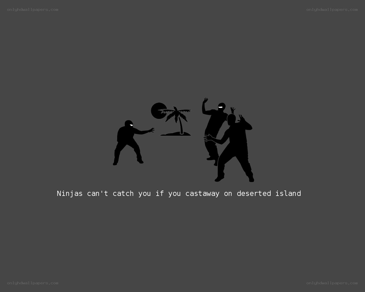 Ninjas on deserted island