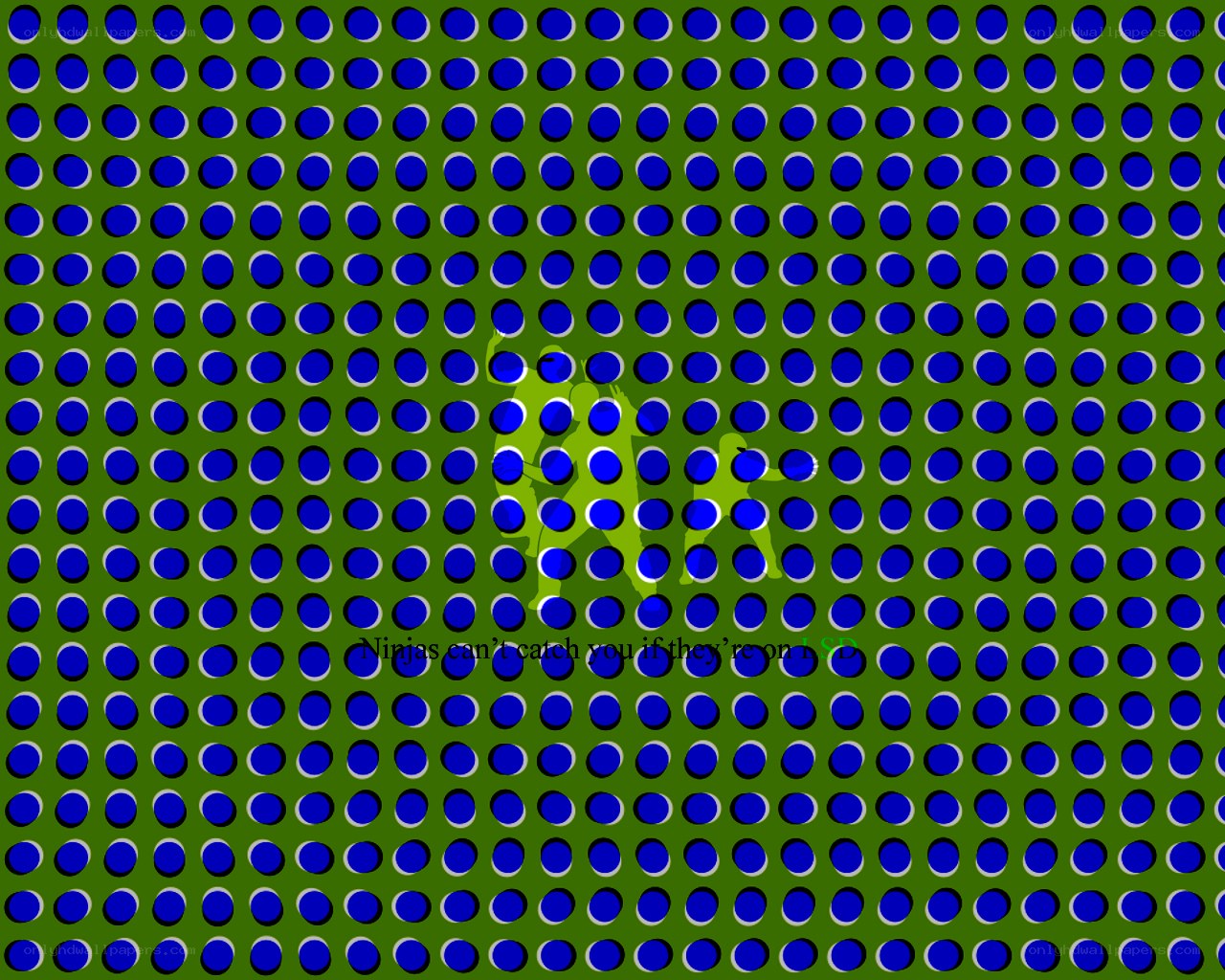 Ninjas on LSD