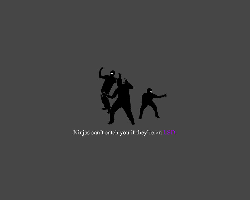 Ninjas on LSD