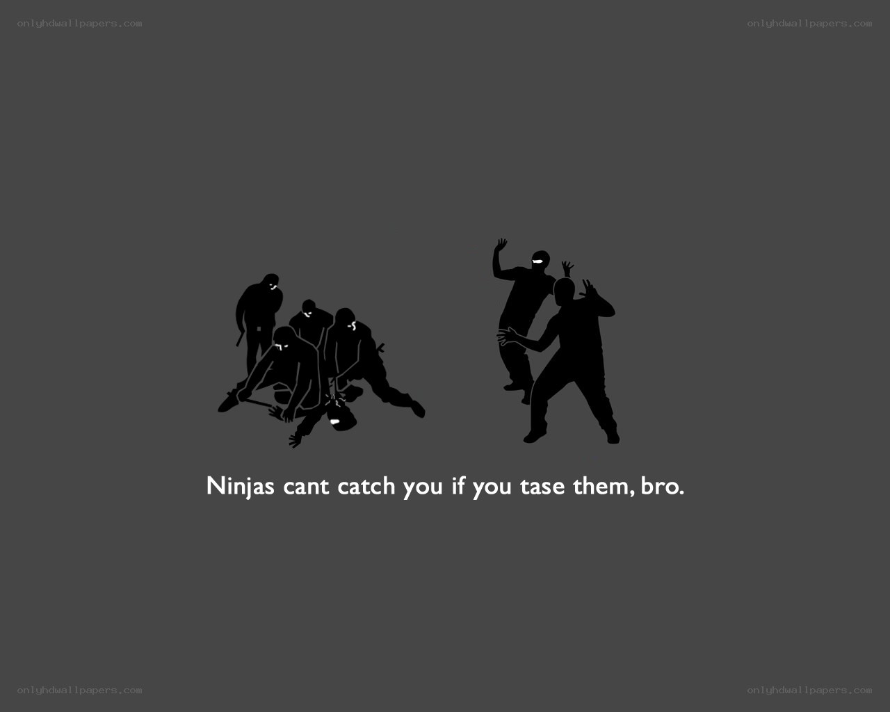 Ninjas tased