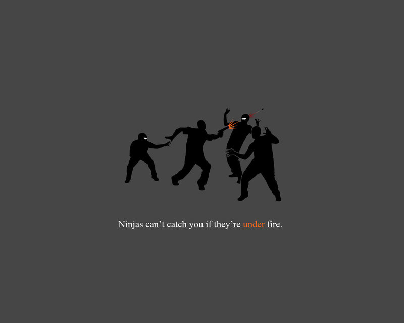 Ninjas under fire