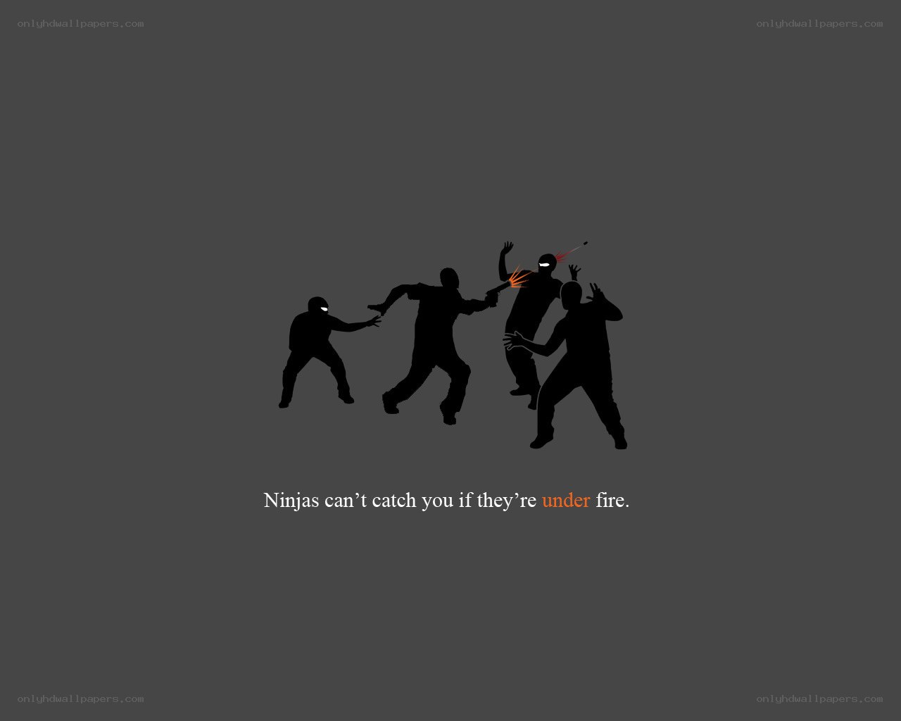 Ninjas under fire