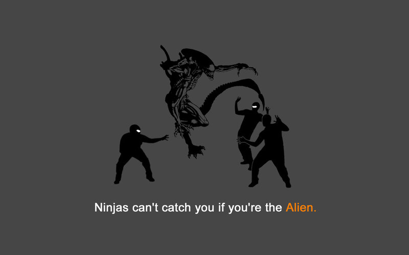 Ninjas vs Alien