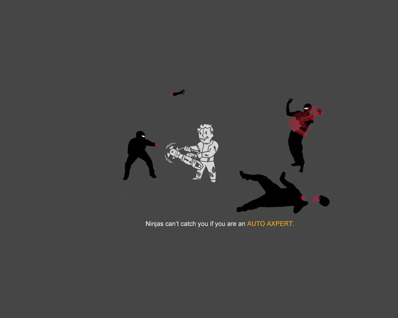 Ninjas vs Auto Expert