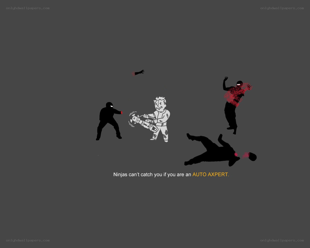 Ninjas vs Auto Expert