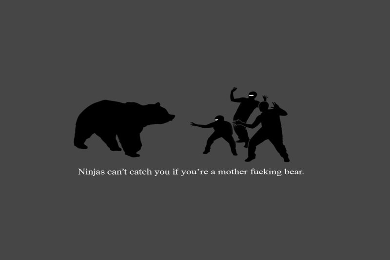 Ninjas vs bear