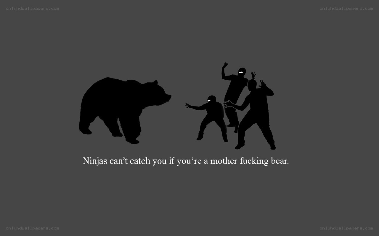 Ninjas vs bear meme
