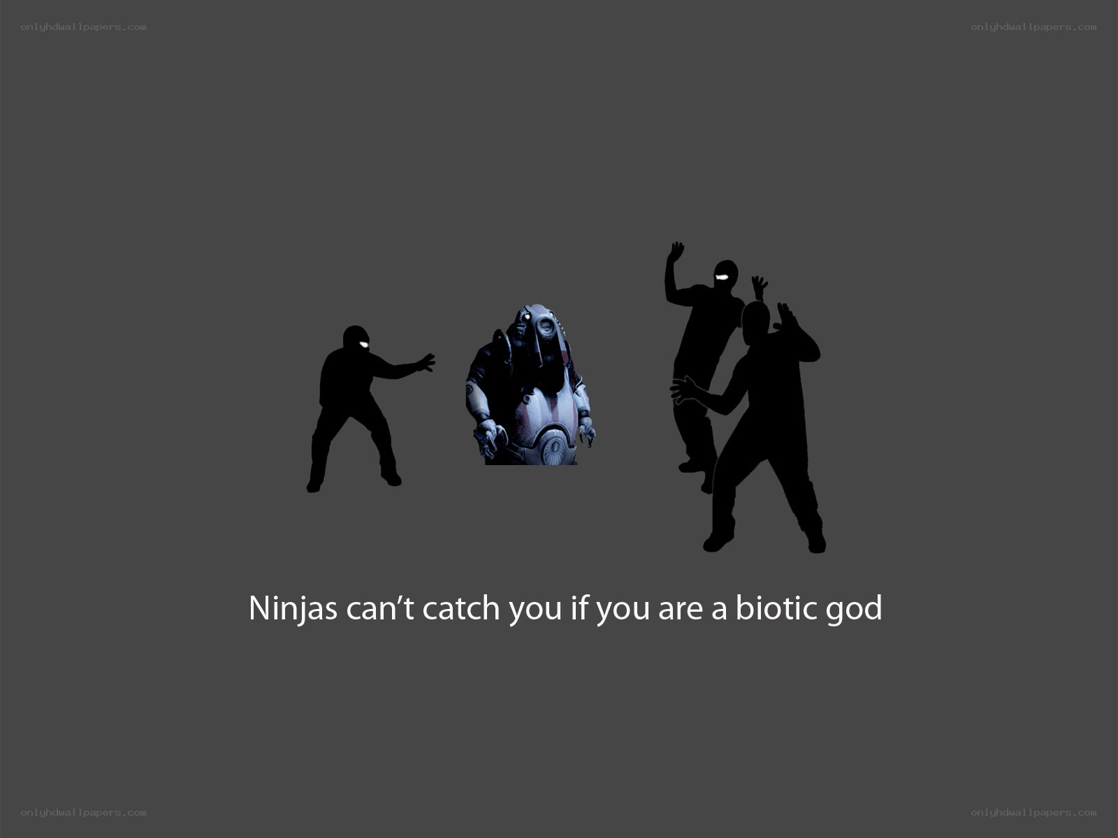 Ninjas vs biotic god