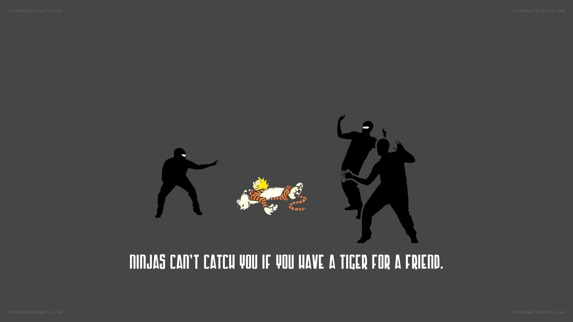 Ninjas vs. Calvin and Hobbes
