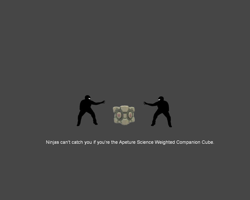 Ninjas vs Companion Cube