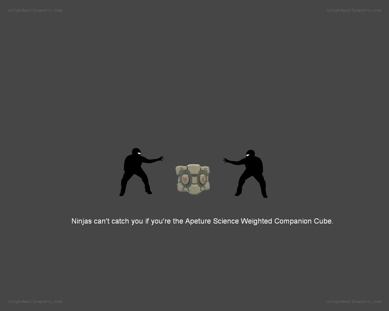 Ninjas vs Companion Cube