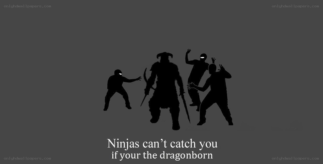 Ninjas vs Dragonborn