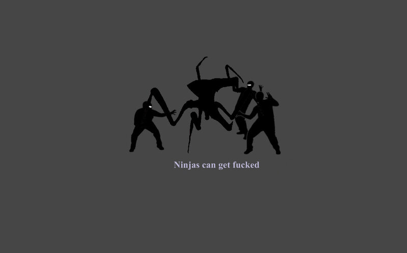 Ninjas vs giant spider