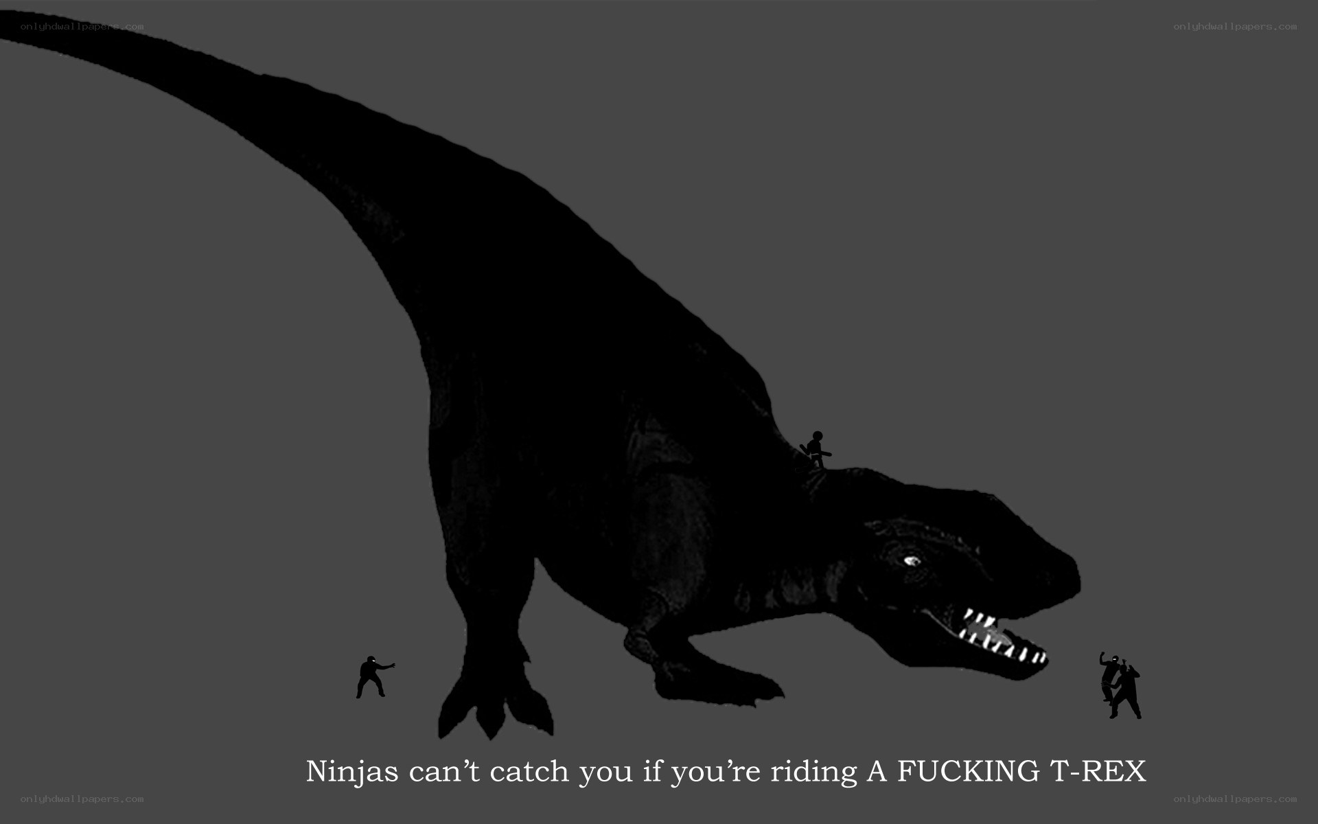 Ninjas vs T-Rex
