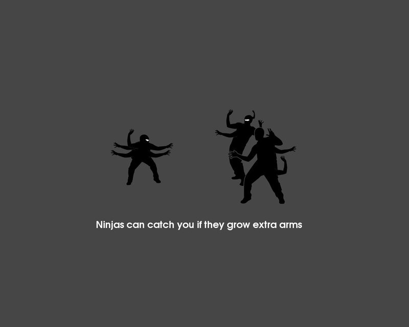 Ninjas with extra arms