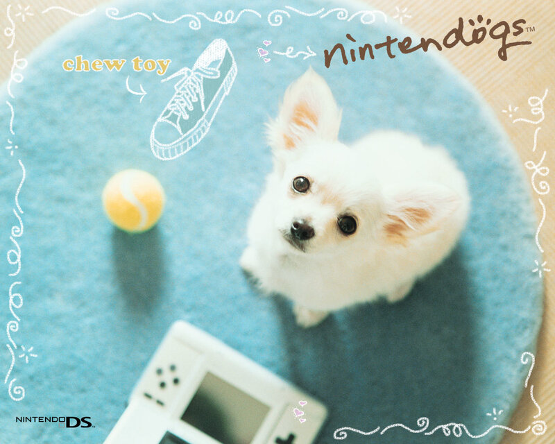 Nintendo DS dog game ad
