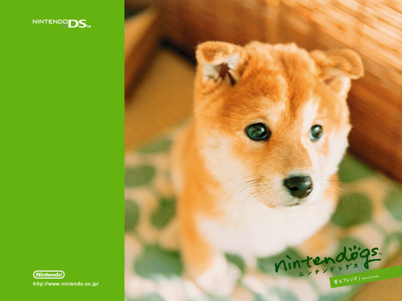 Nintendo DS puppy ad