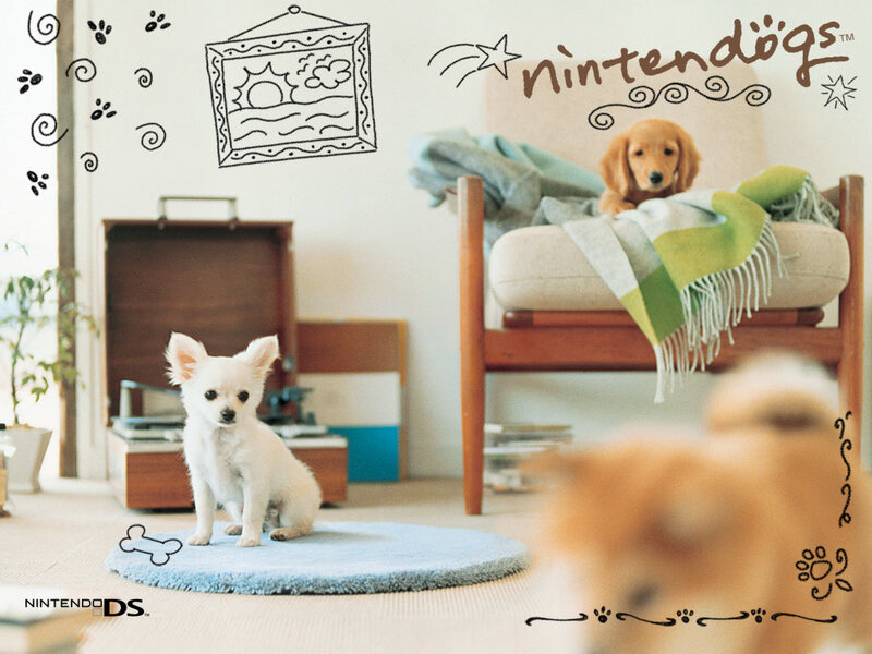 Nintendogs game advertisement