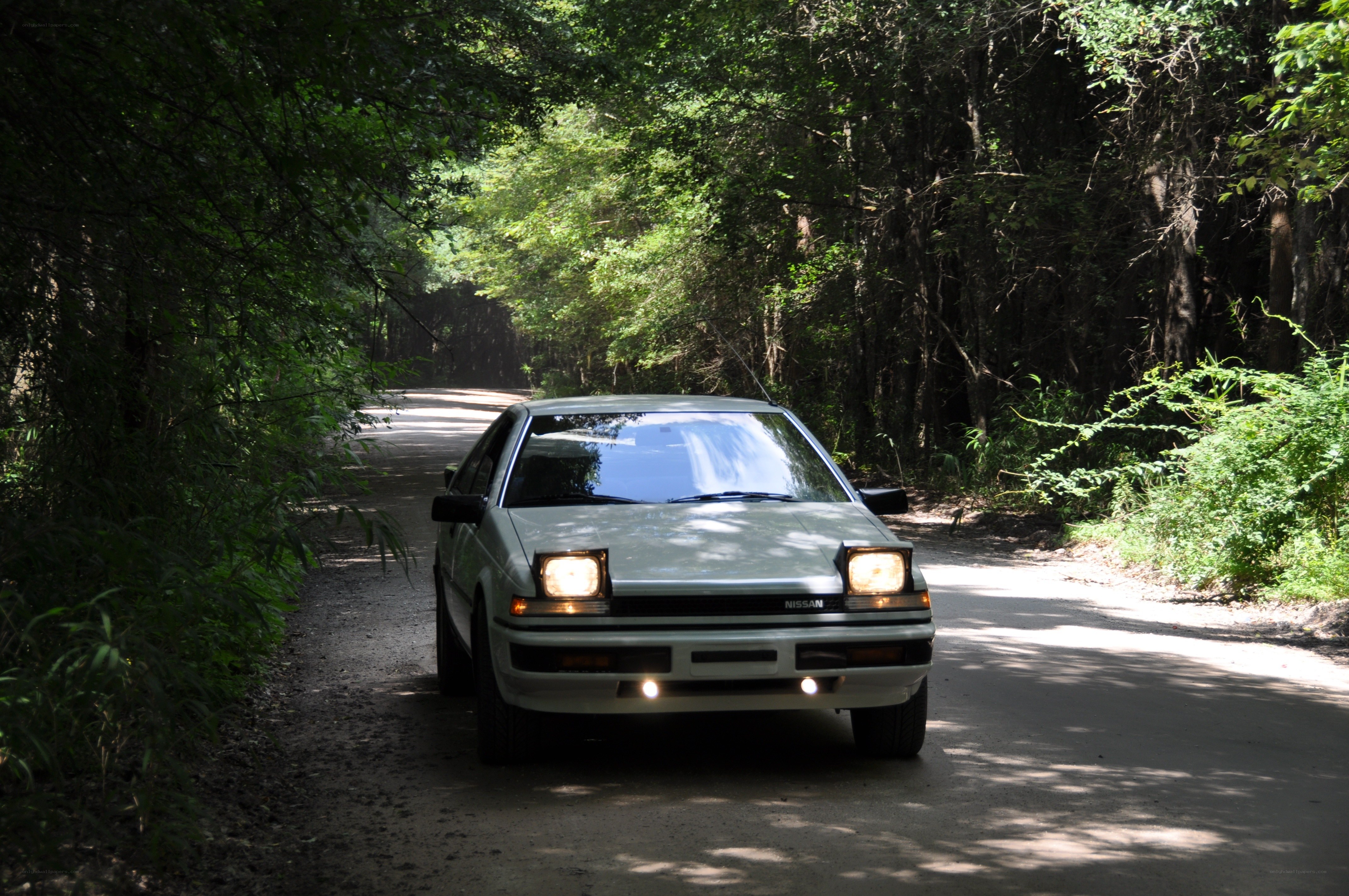 Nissan AE86 on a forest road