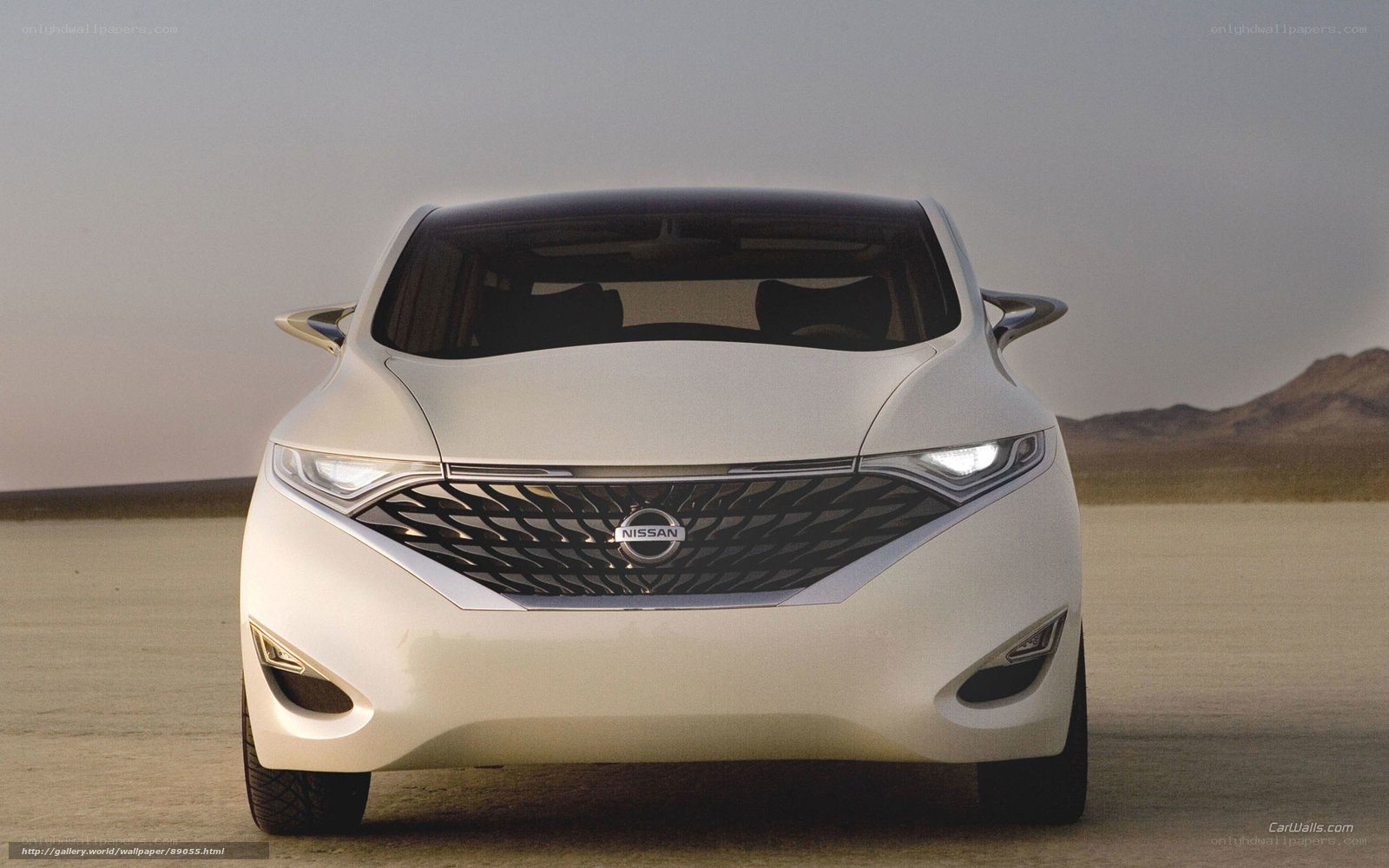 Nissan concept car front view