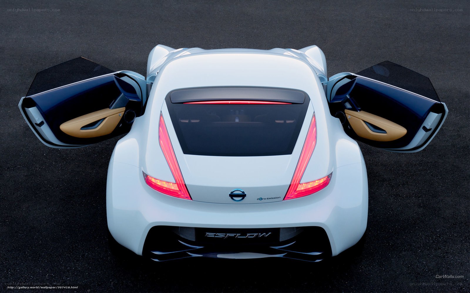 Nissan ESFLOW concept car