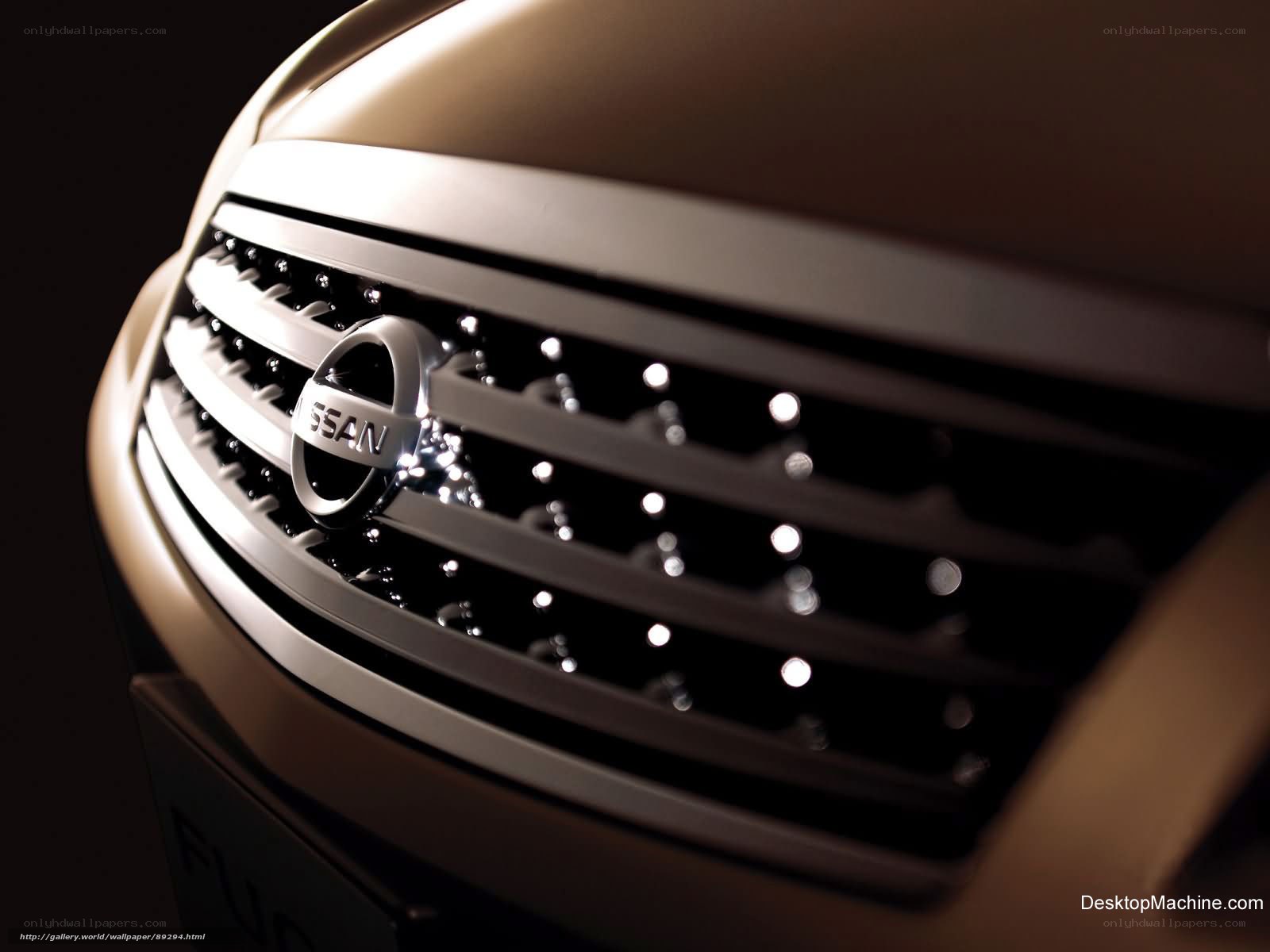 Nissan grille close-up