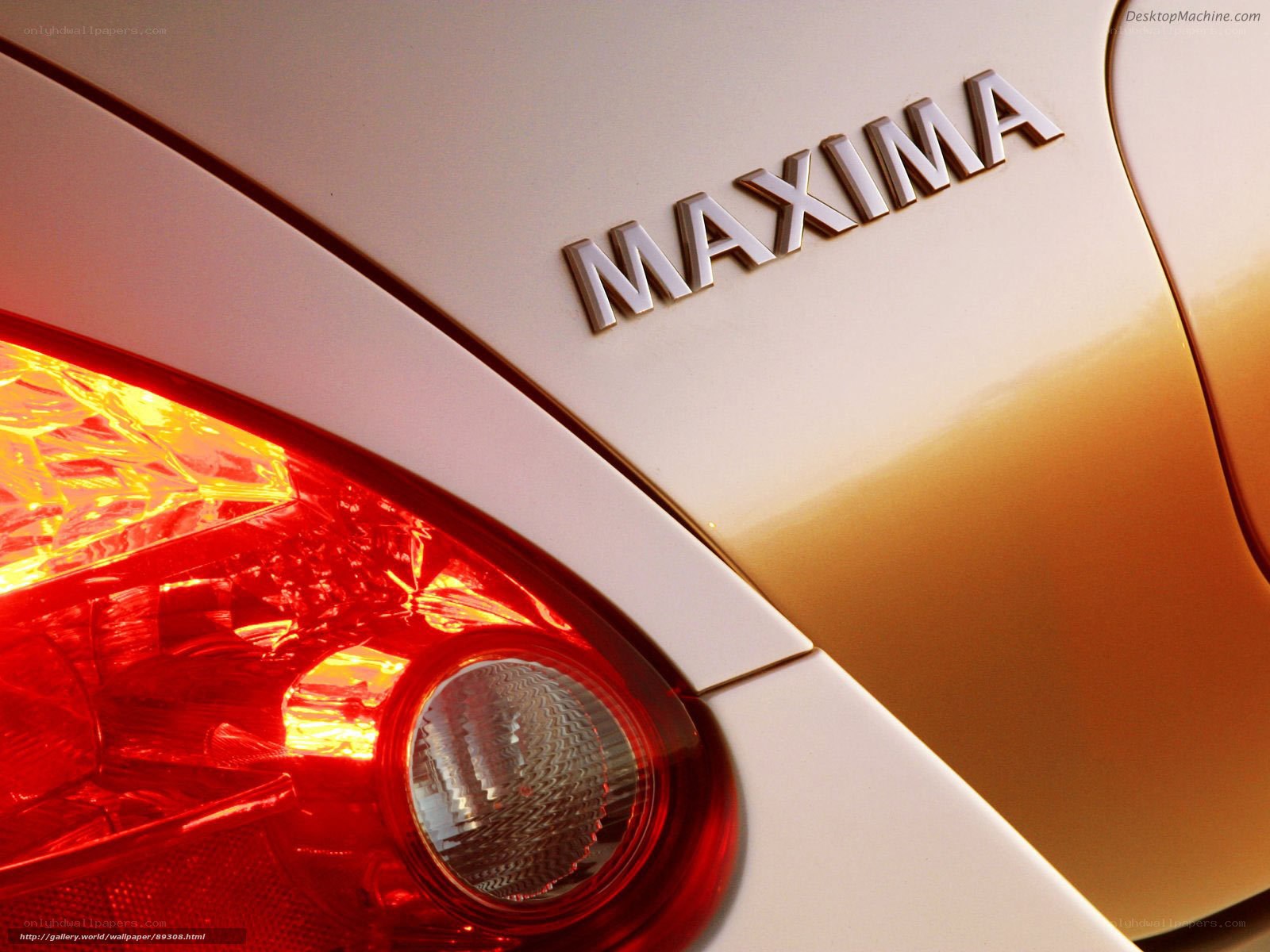 Nissan Maxima rear badge