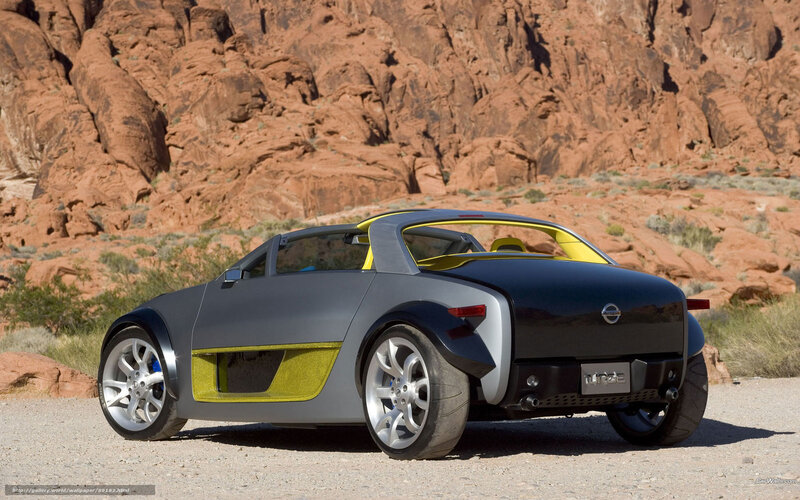 Nissan Turge concept car