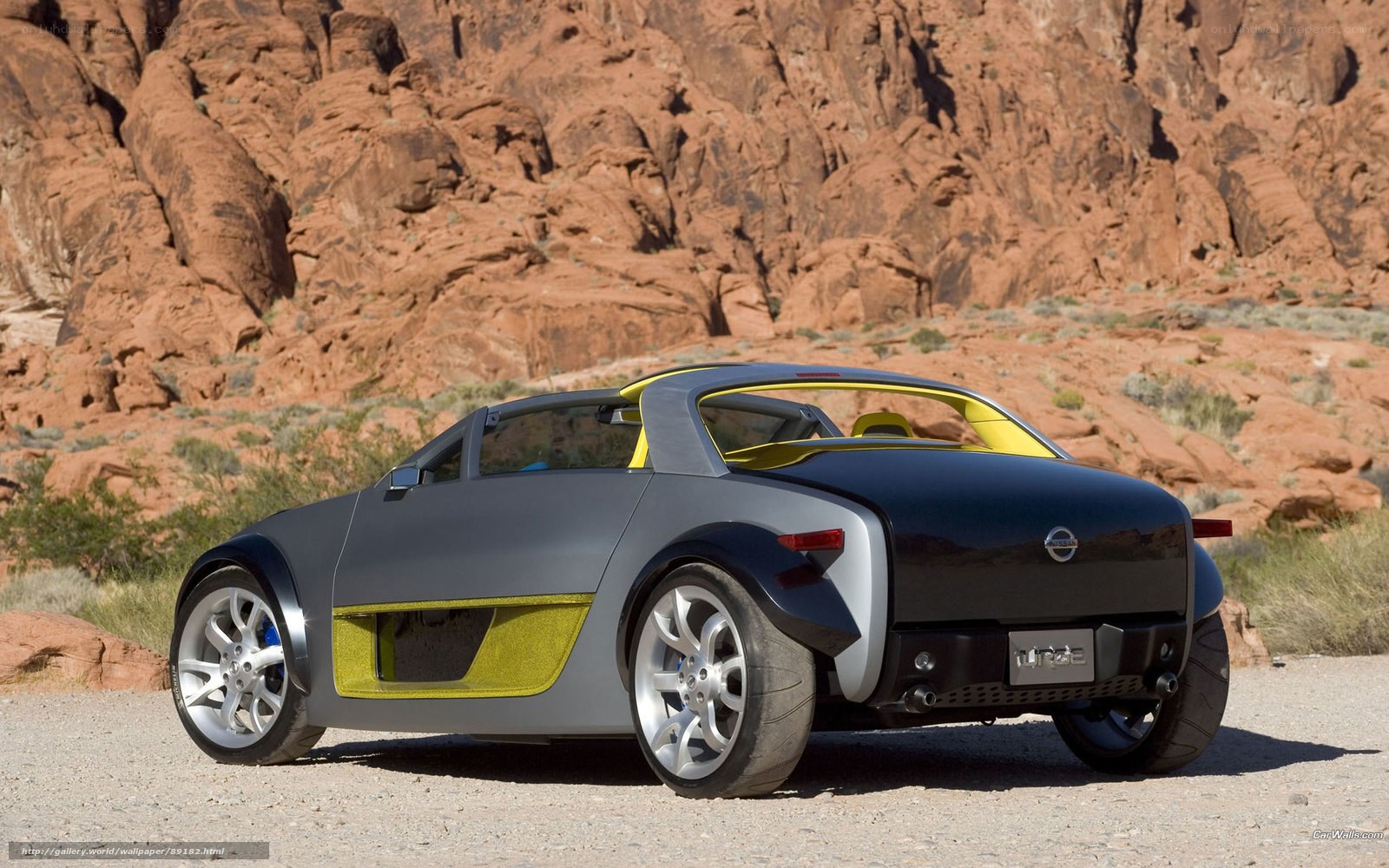 Nissan Turge concept car