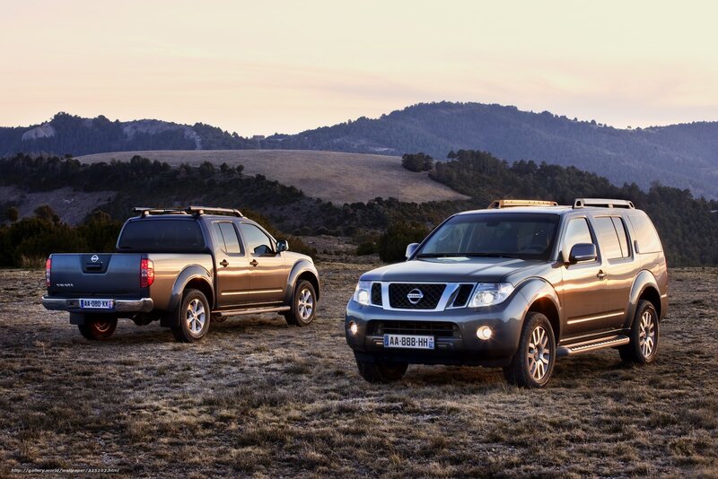 Nissan vehicles in a field