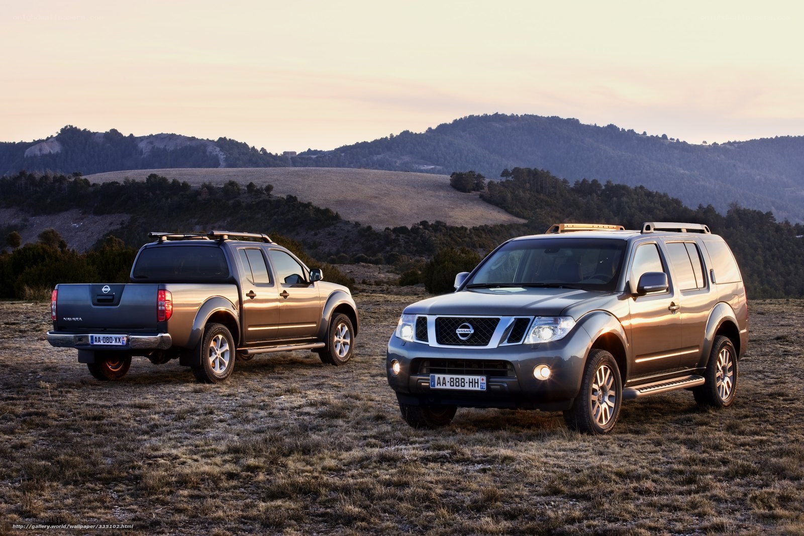Nissan vehicles in a field