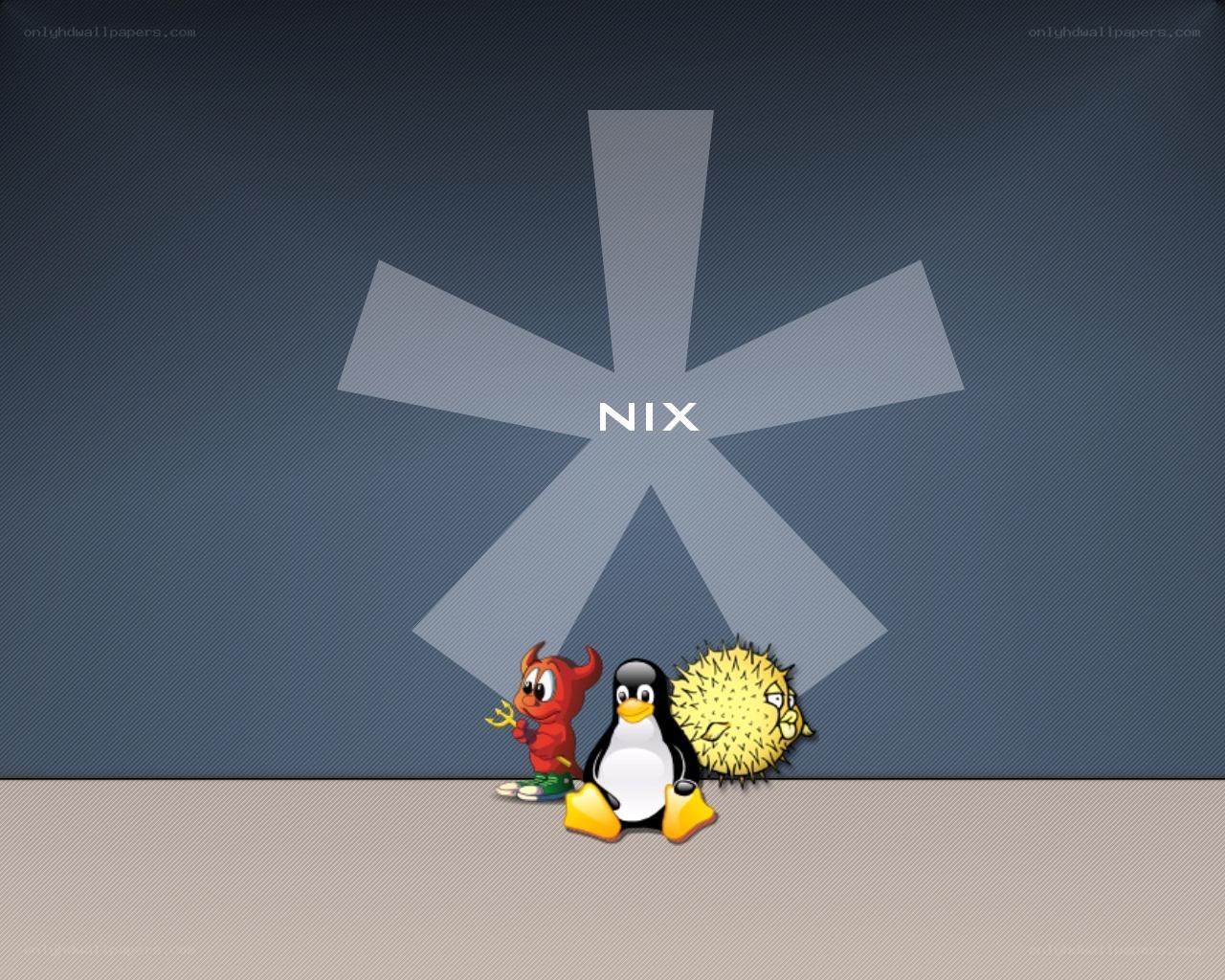 Nix OS desktop wallpaper