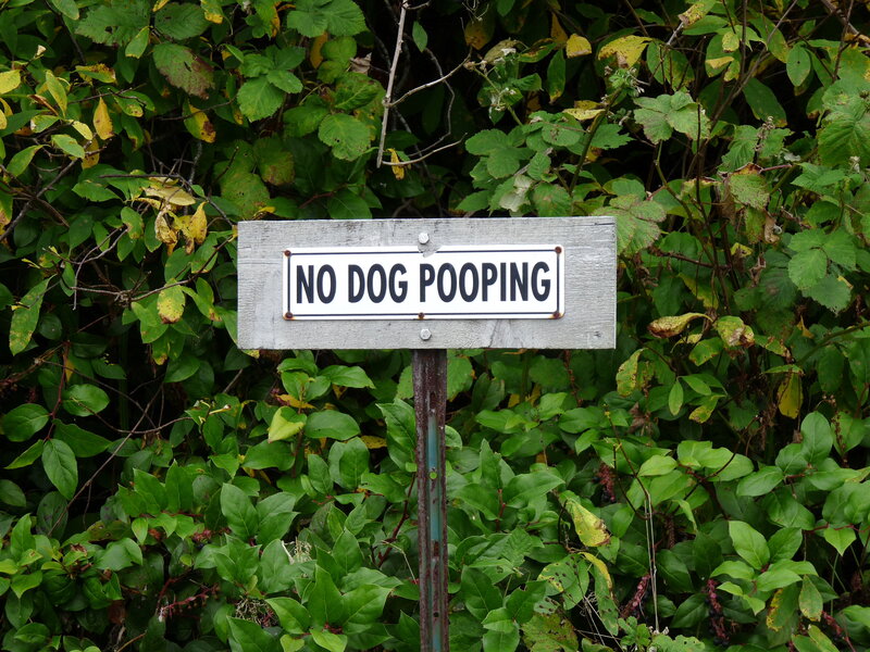 No Dog Pooping Sign