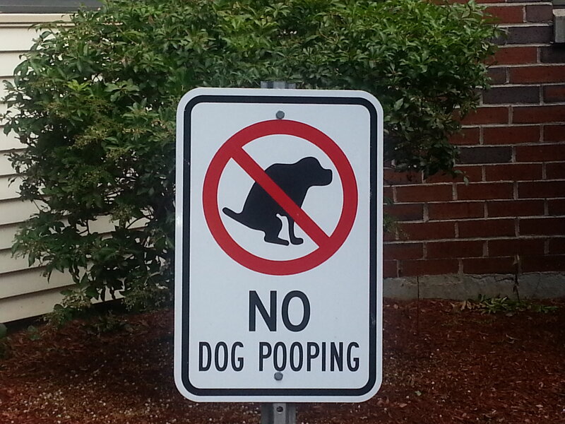 No Dog Pooping Sign — White